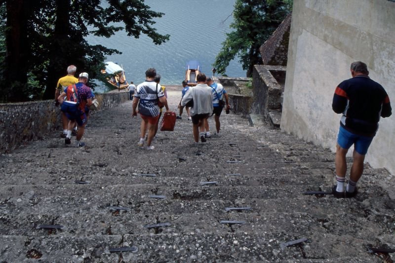 Bled