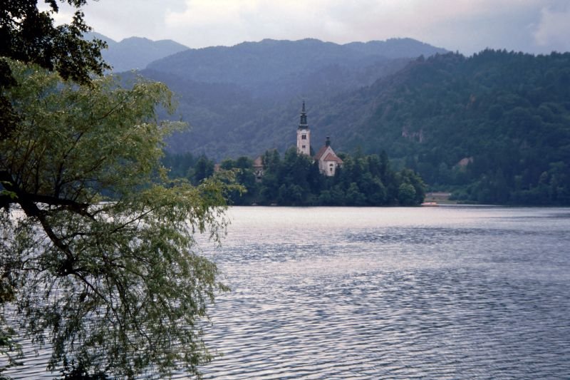 Bled