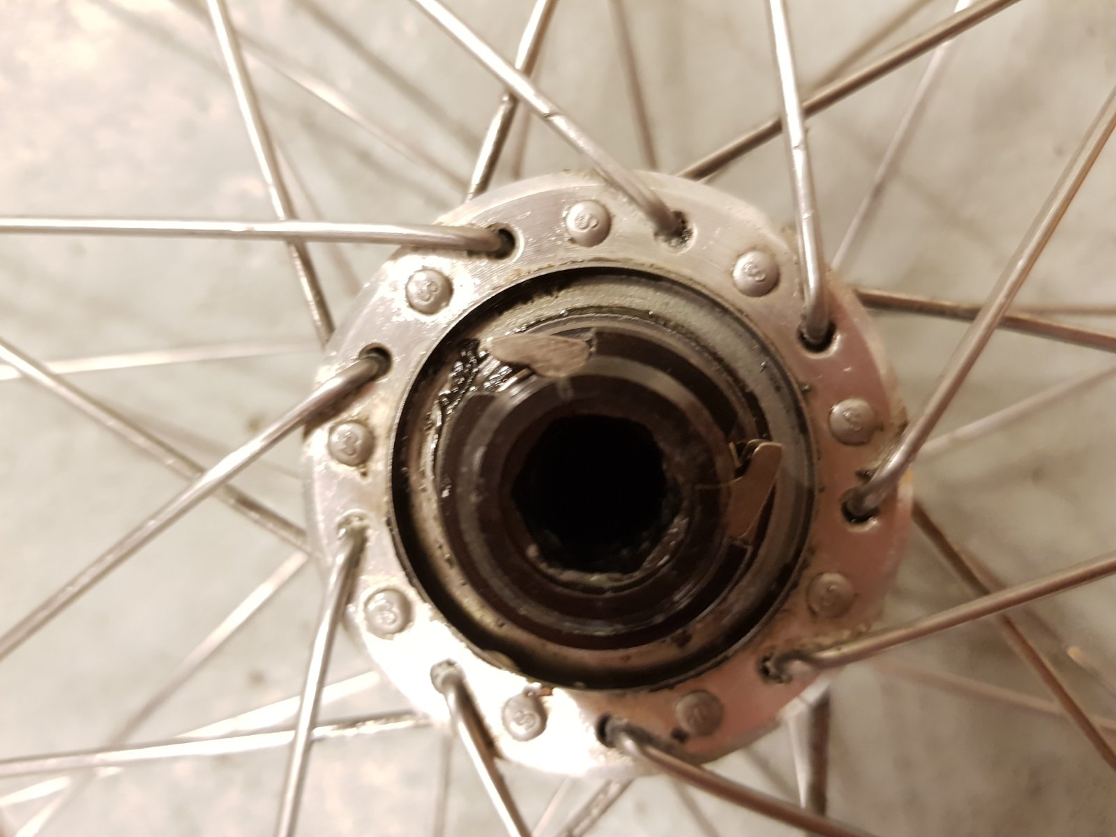 20190208_213213.jpg