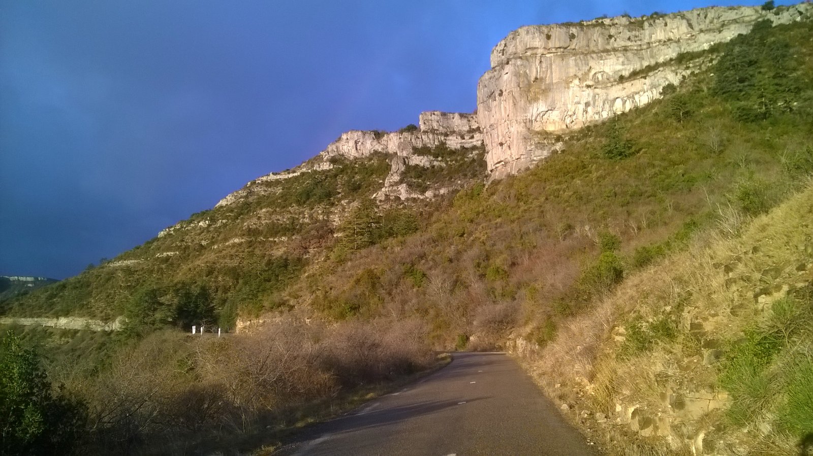 WP_20190127_001.jpg