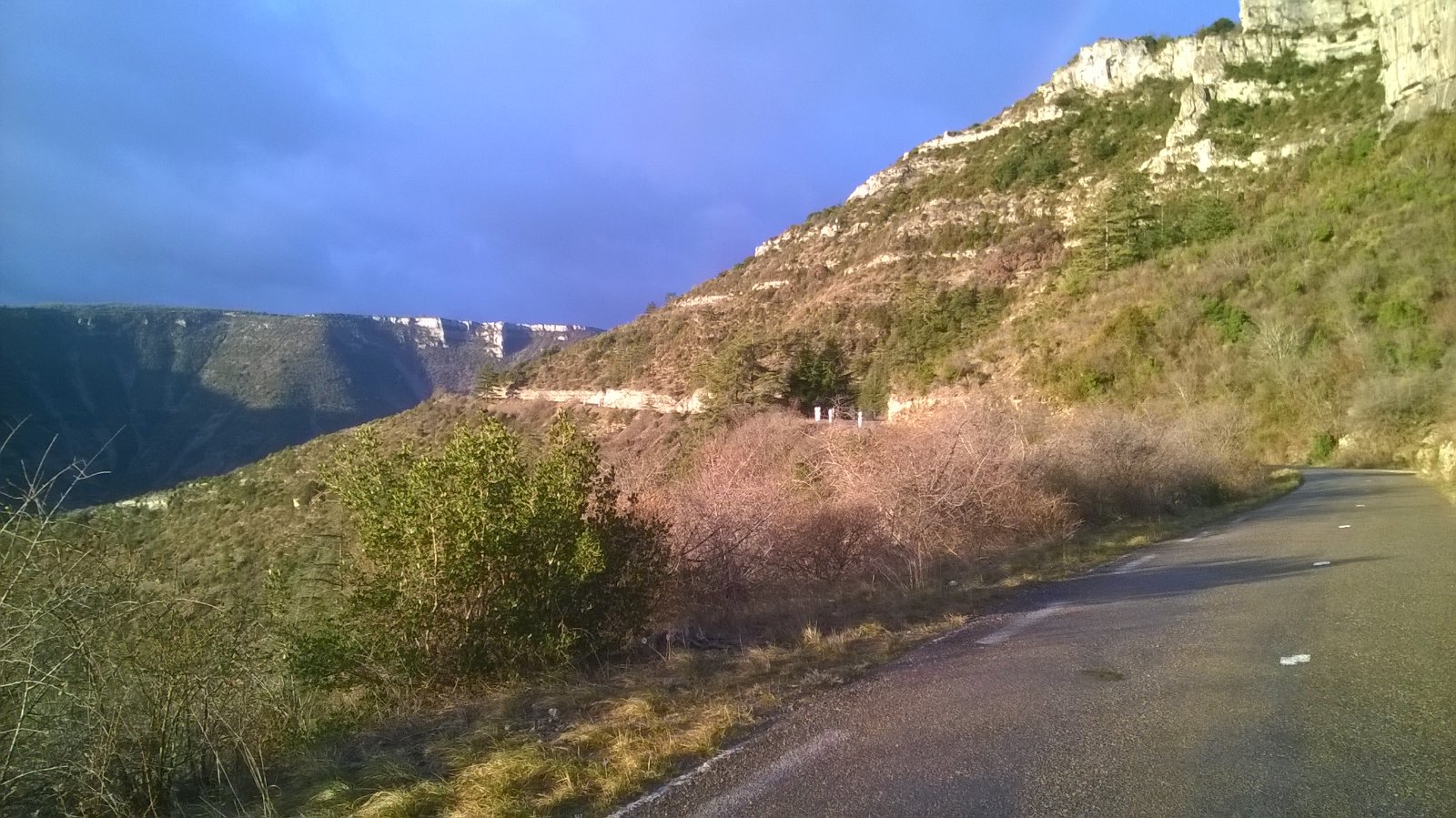 WP_20190127_002.jpg