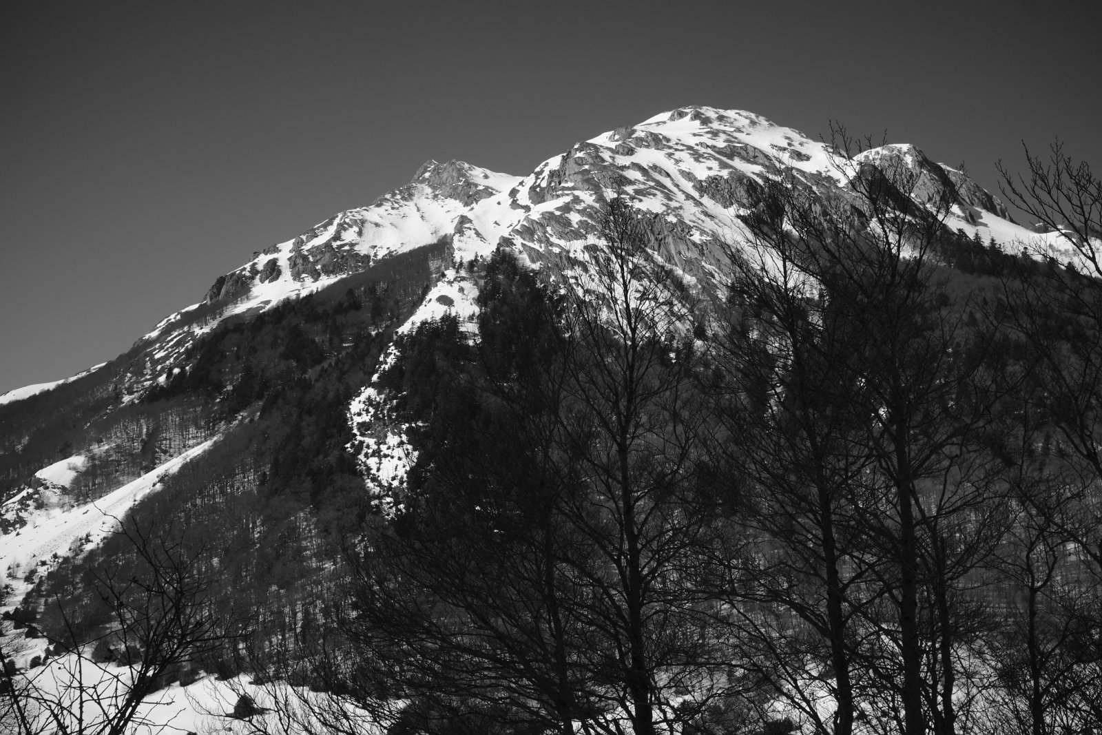 2019_02 part 4 (036).jpg