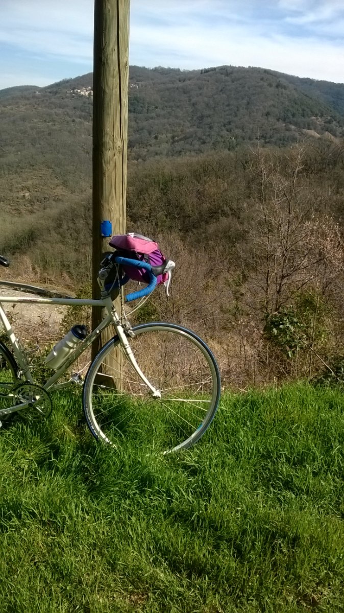 WP_20190226_001.jpg