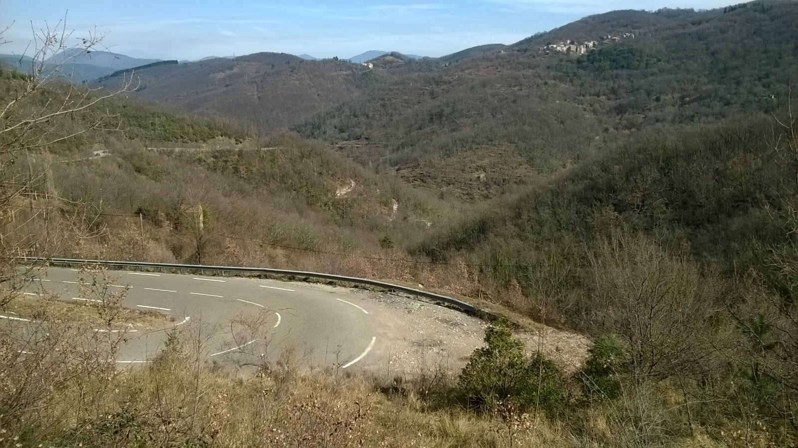 WP_20190226_002.jpg
