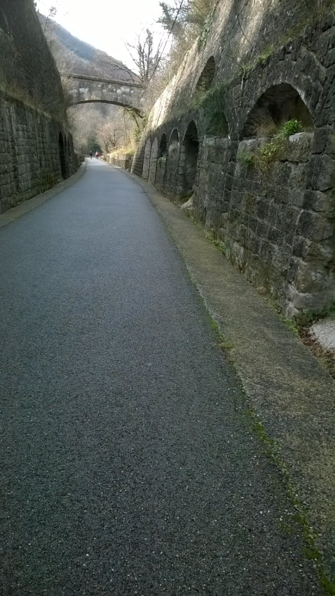WP_20190226_006.jpg