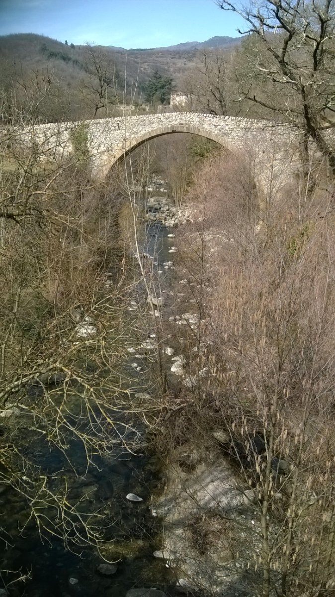WP_20190226_010.jpg