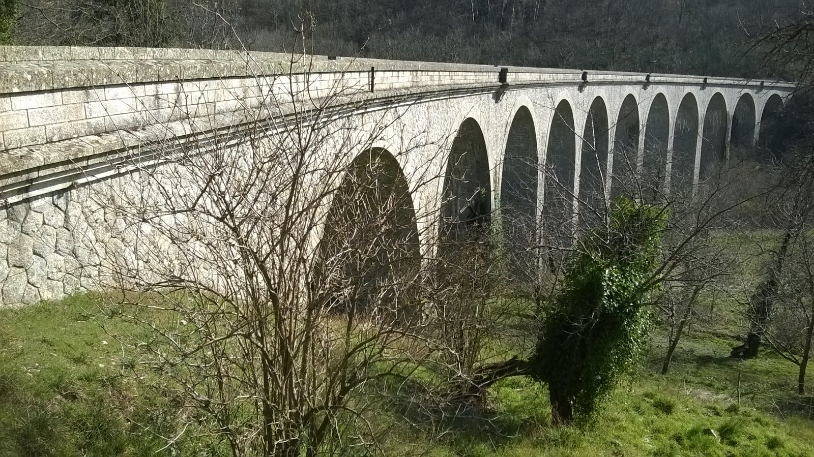 WP_20190226_019.jpg