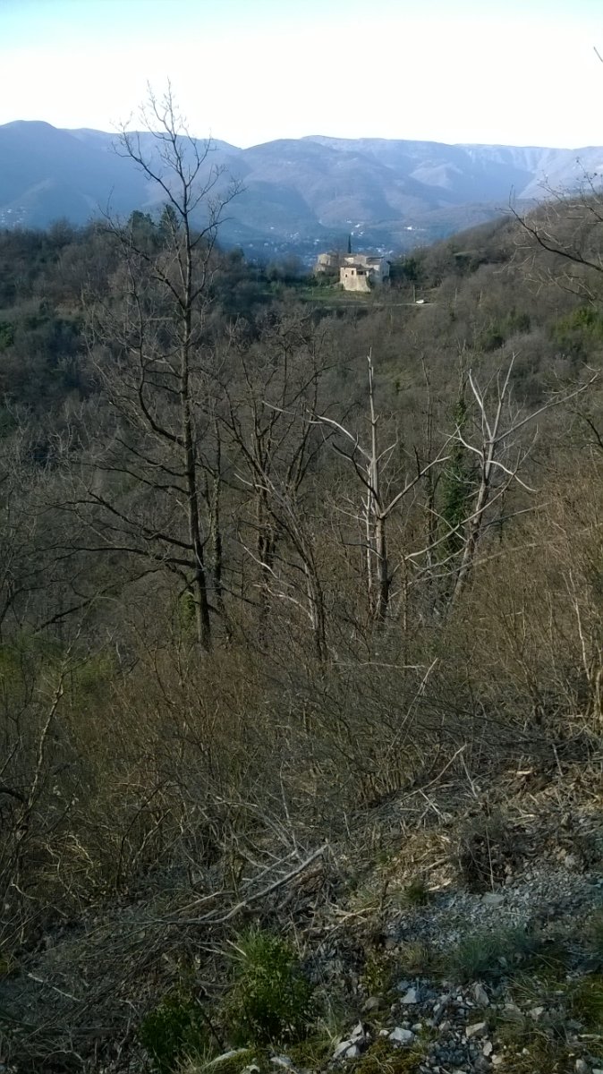 WP_20190226_027.jpg
