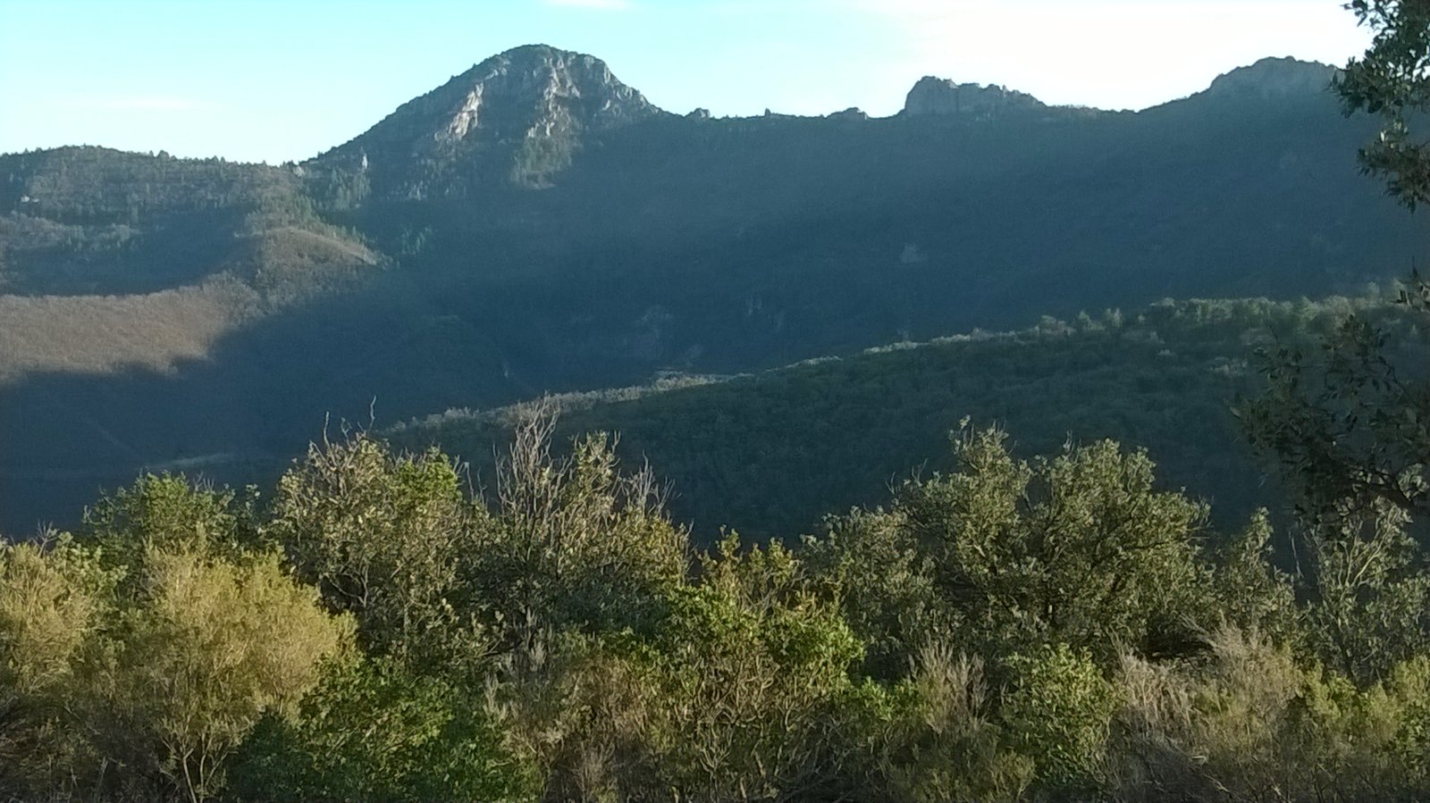 WP_20190226_030.jpg