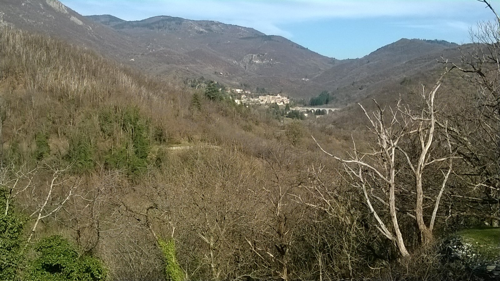 WP_20190226_023.jpg
