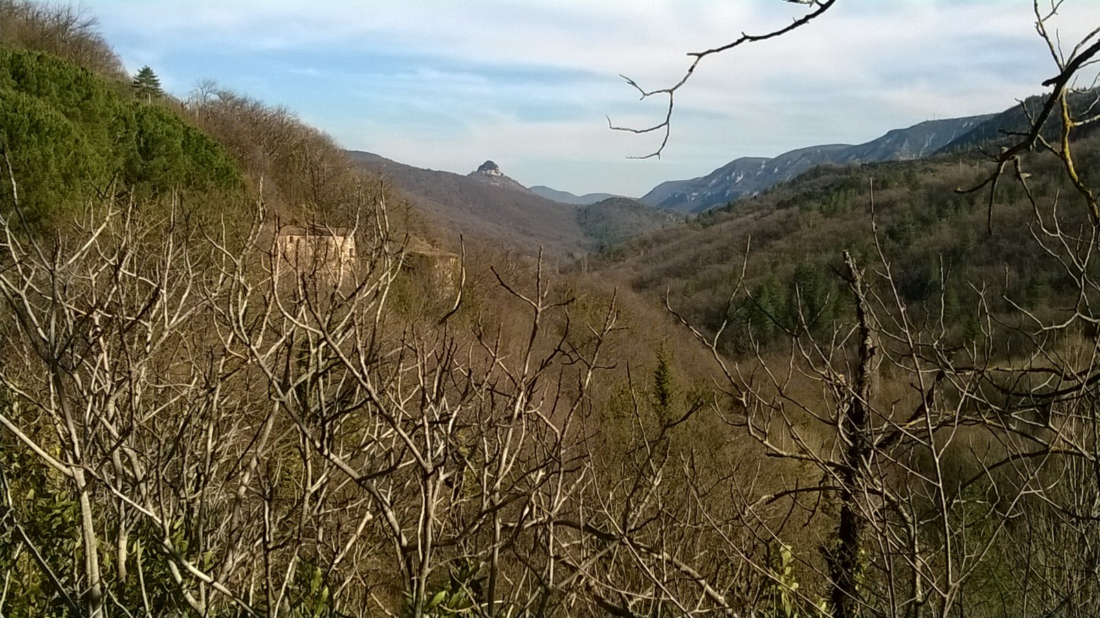 WP_20190226_025.jpg