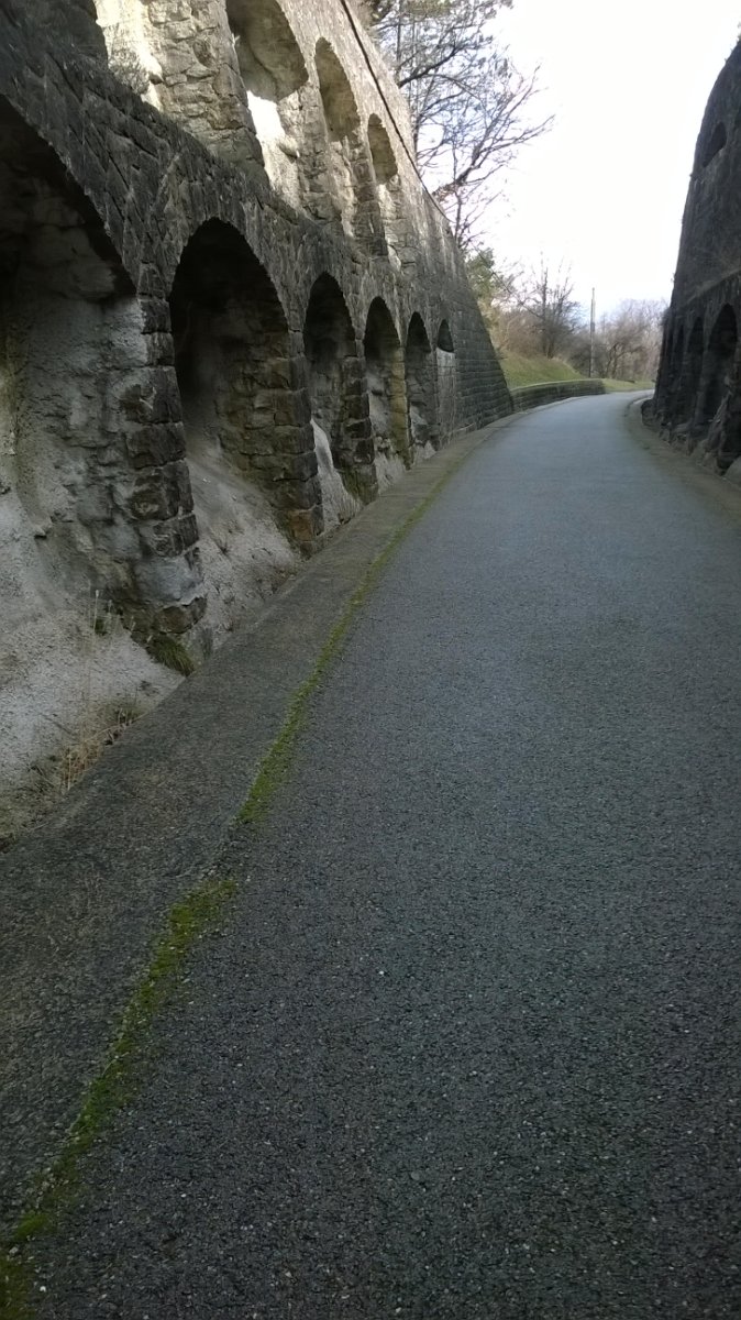 WP_20190226_005.jpg