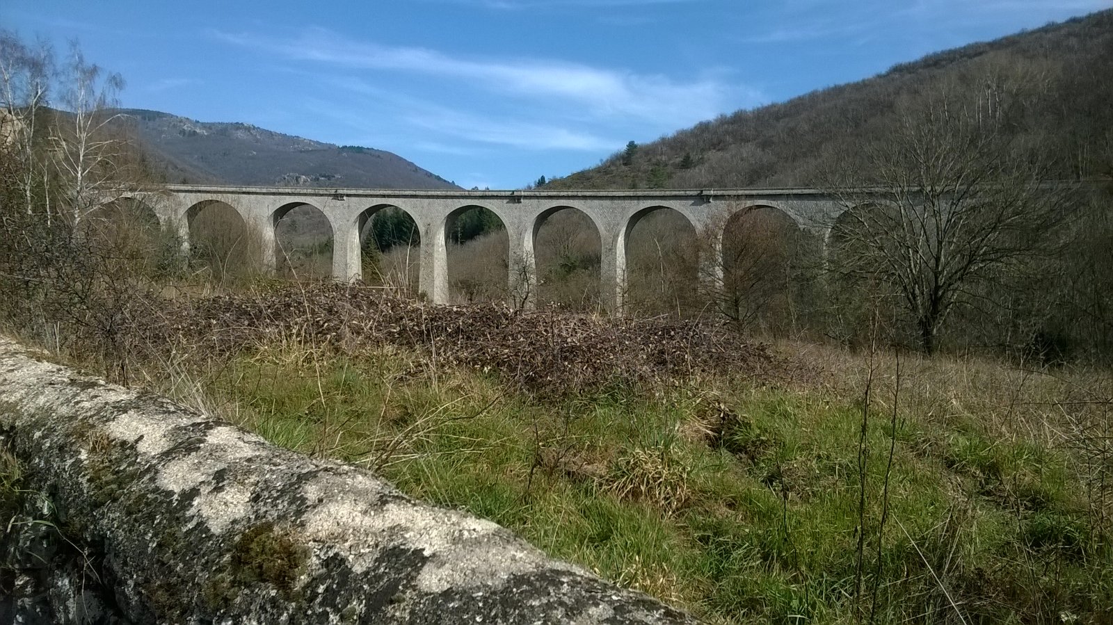 WP_20190226_011.jpg