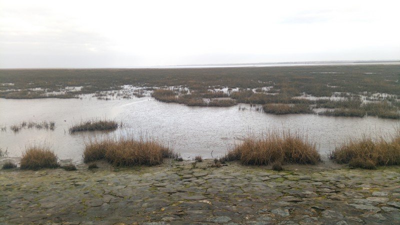La baie des Veys