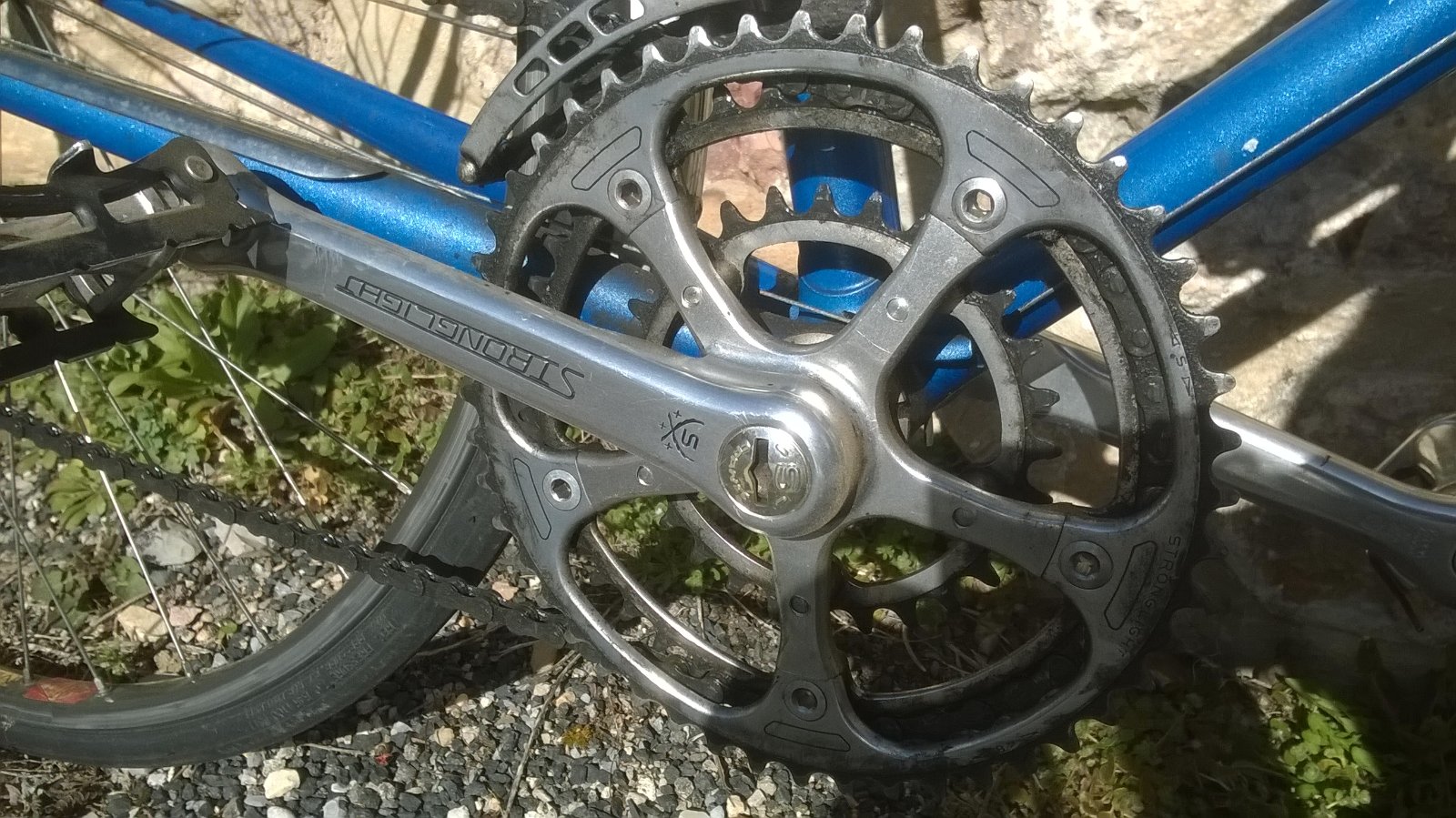 WP_20190307_003.jpg