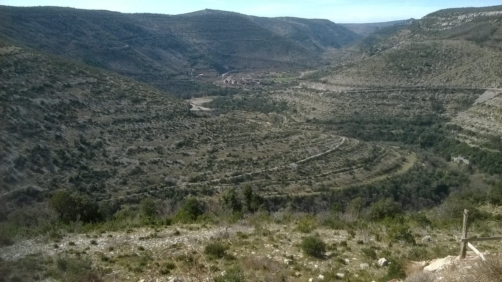 WP_20190312_001.jpg
