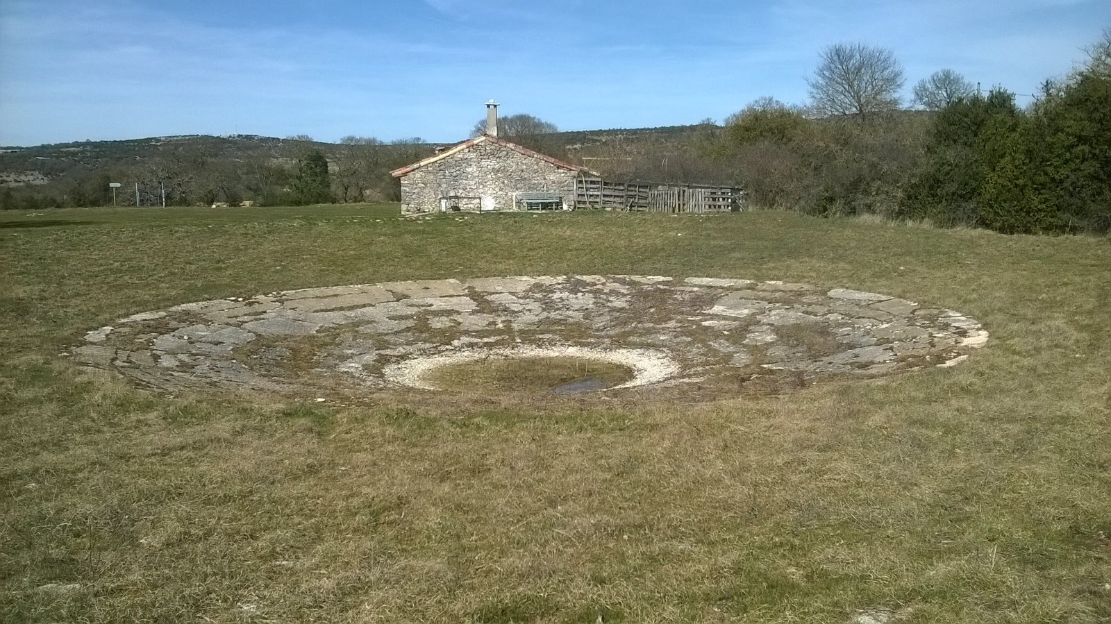 WP_20190312_013.jpg
