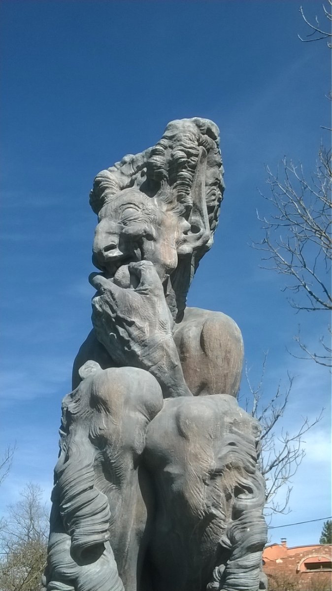 WP_20190312_016.jpg