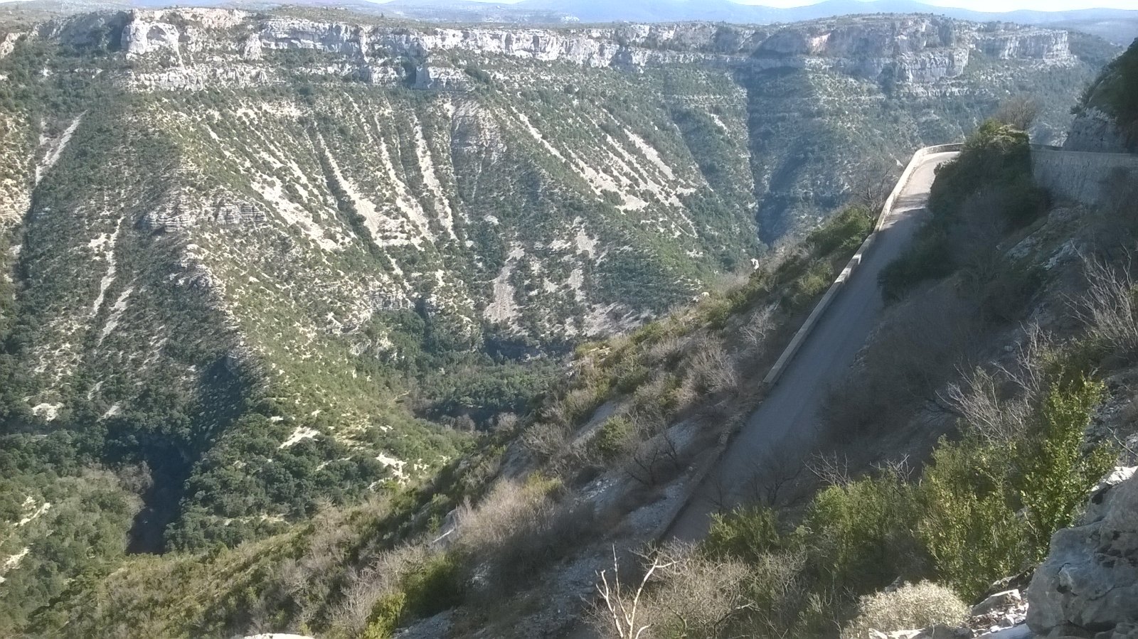WP_20190312_022.jpg