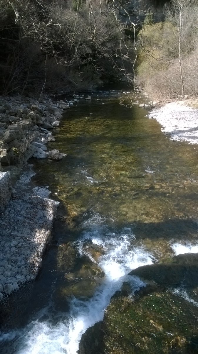 WP_20190312_030.jpg
