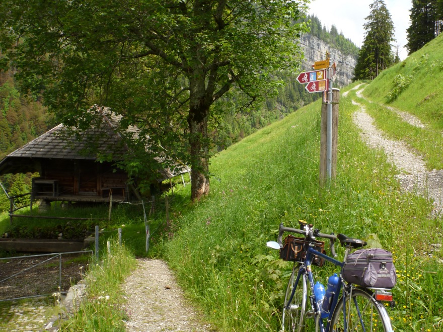 P1000683_1r.JPG