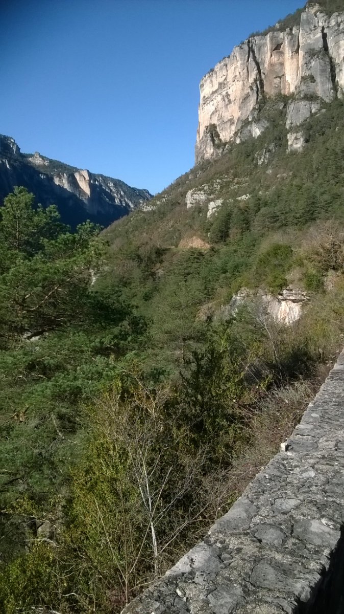 WP_20190321_001.jpg