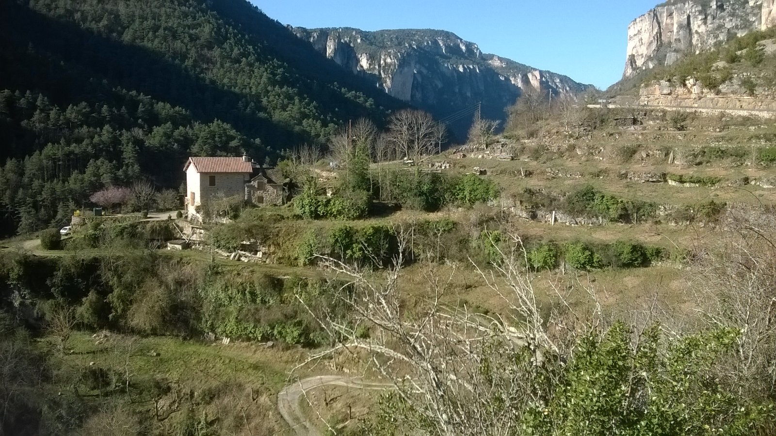 WP_20190321_002.jpg