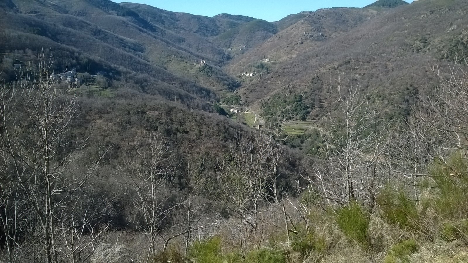 WP_20190321_018.jpg