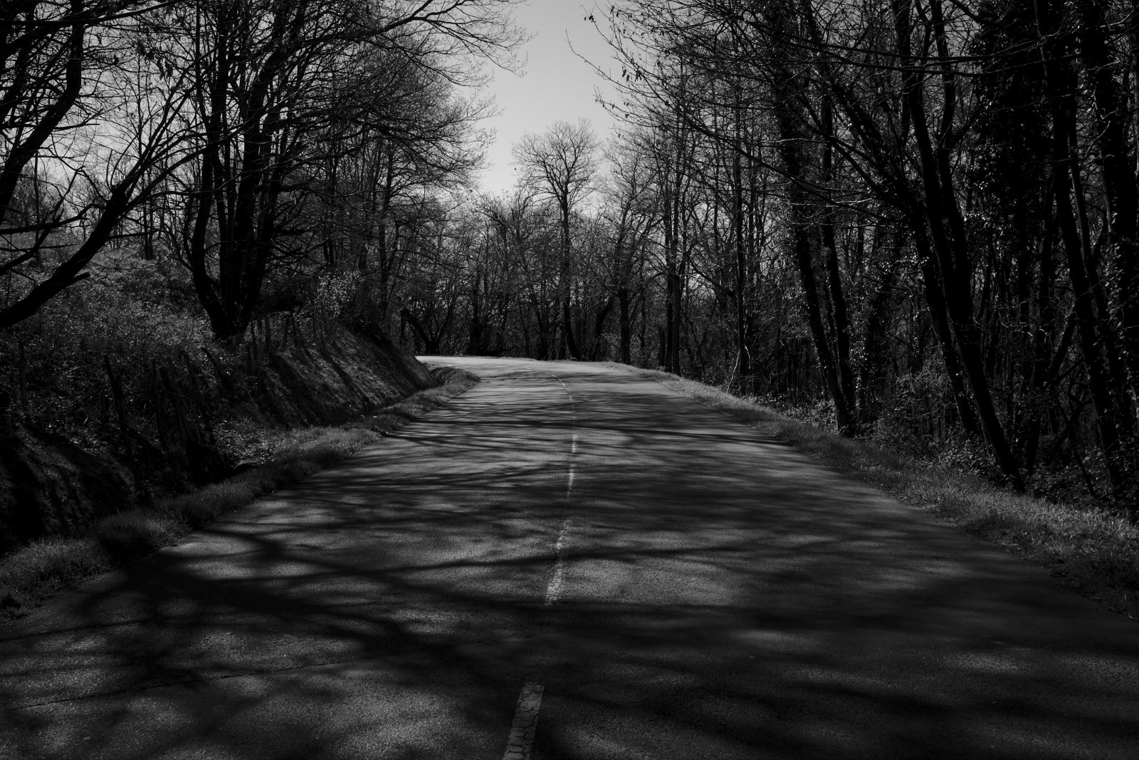 2019_03 part 1 (033).jpg