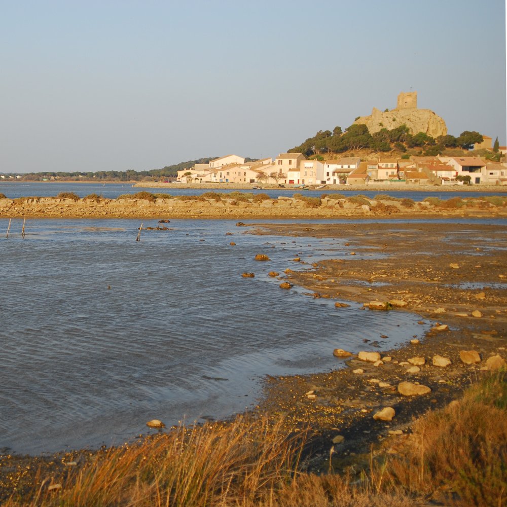 joli soleil sur un paysage de carte postale