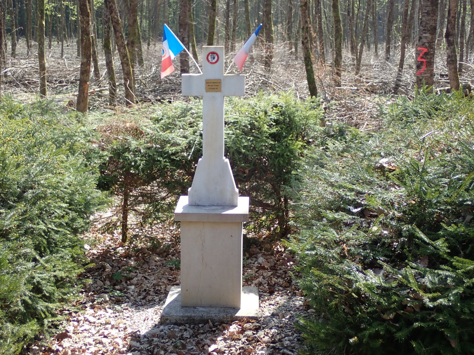 P4150700.JPG