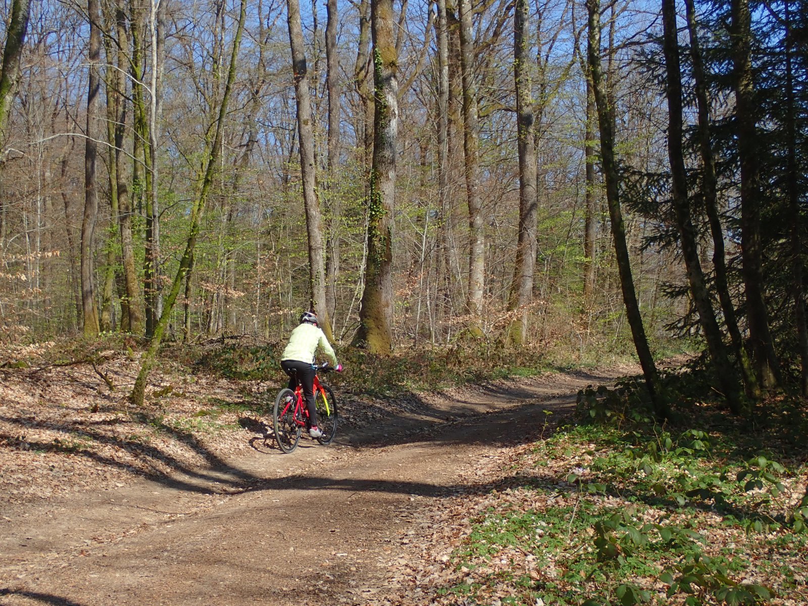 P4150697.JPG