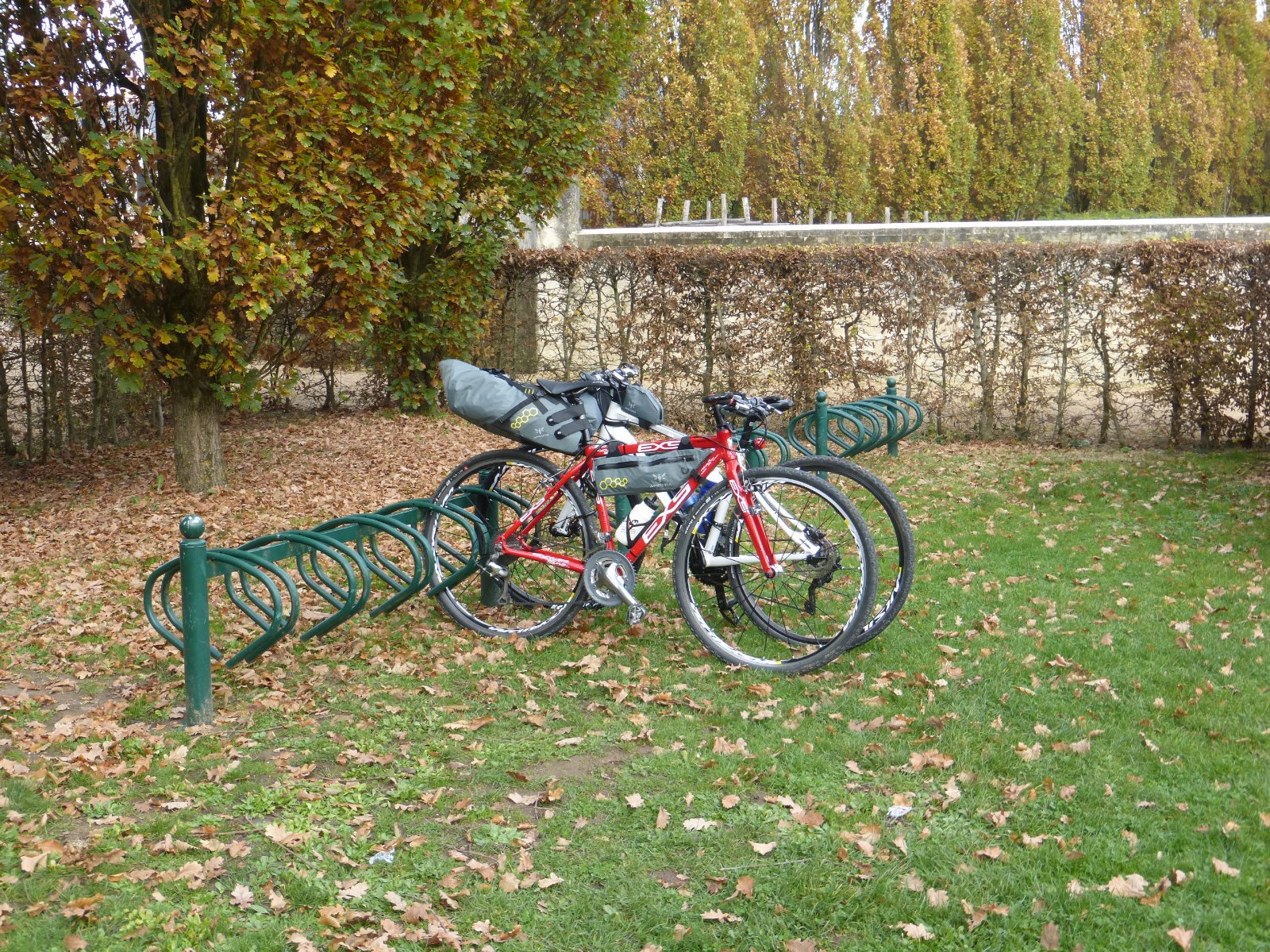 P1000781.JPG
