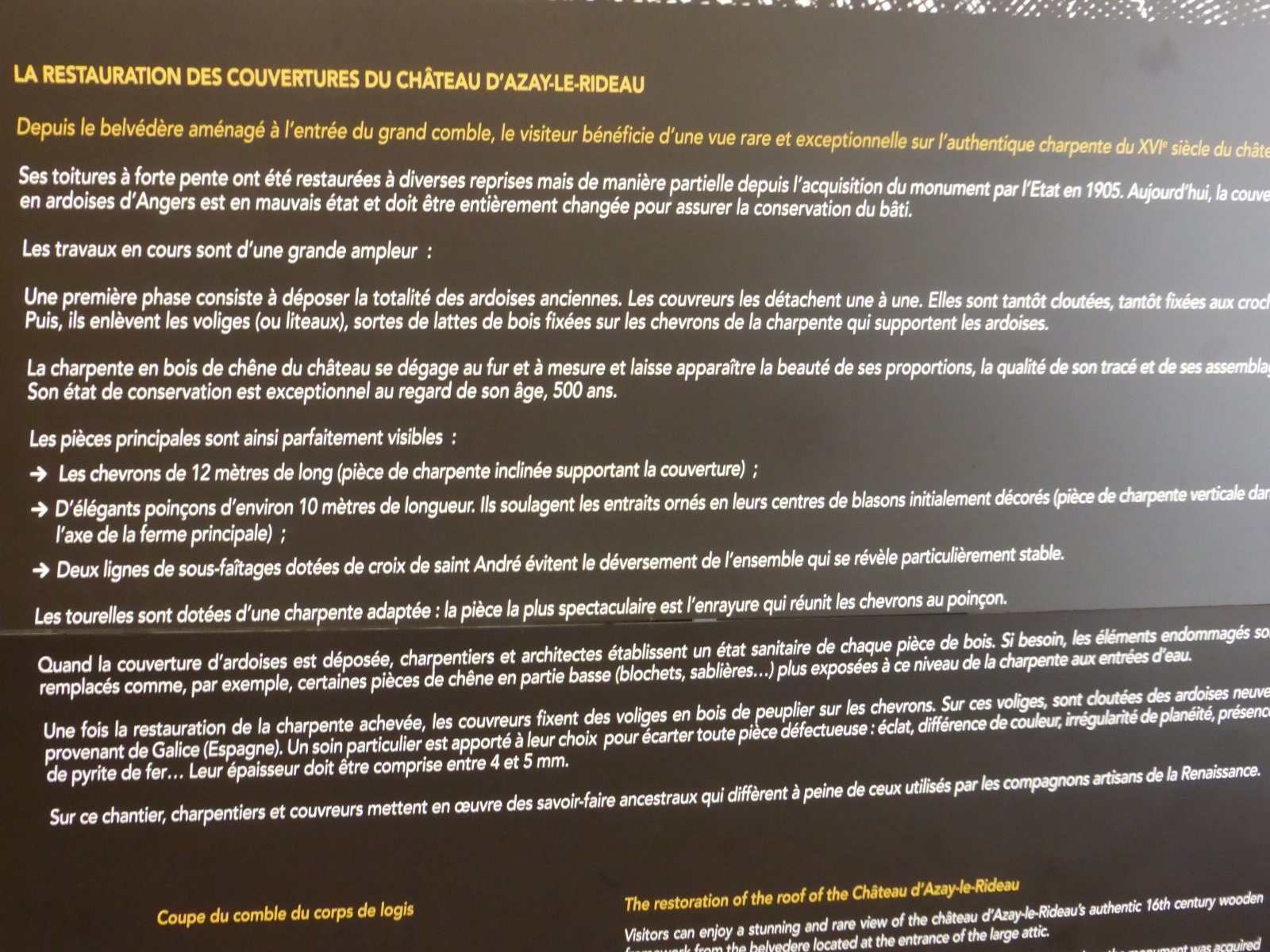 P1000773.JPG