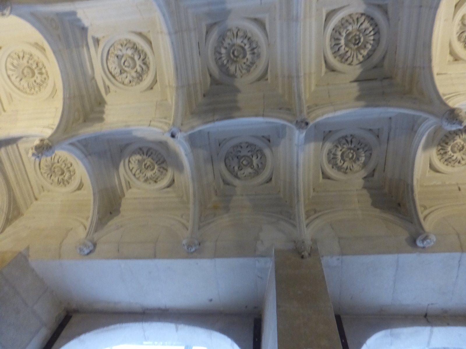 P1000760.JPG