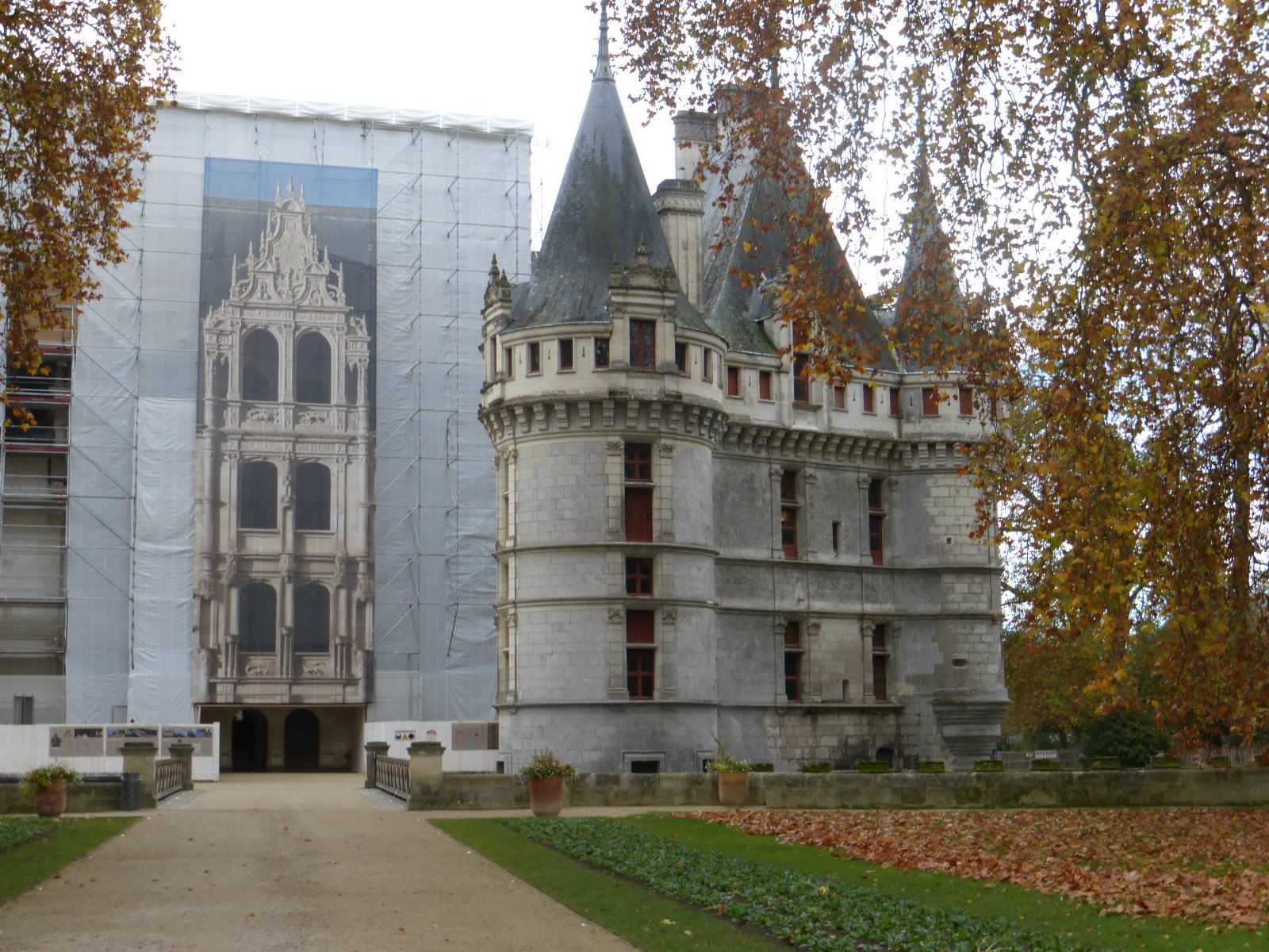 P1000753.JPG