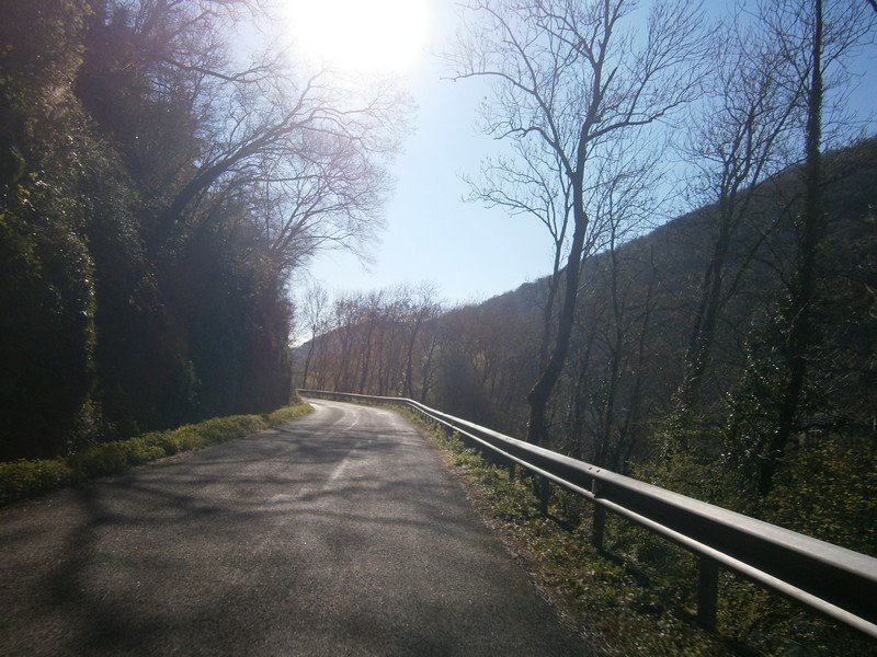 P1010045.JPG