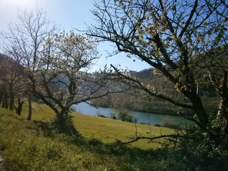 P1010050.JPG
