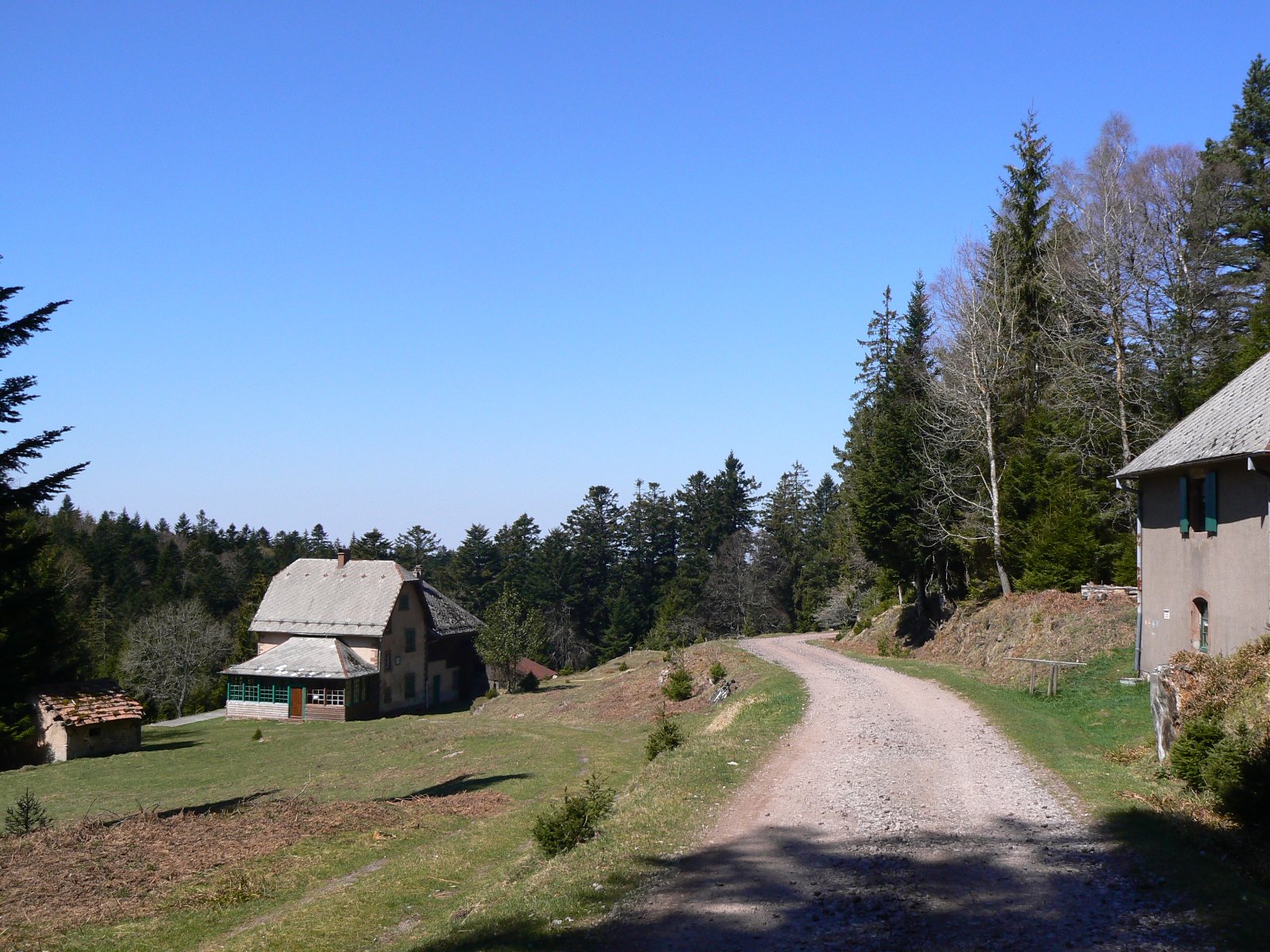 P1180638.JPG