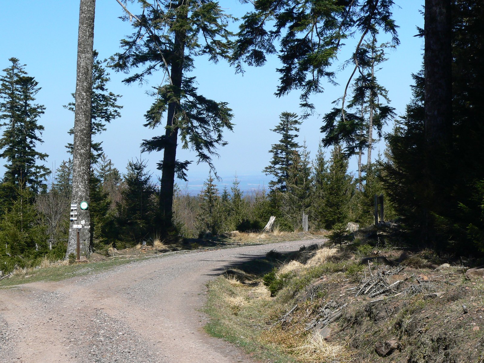 P1180644.JPG
