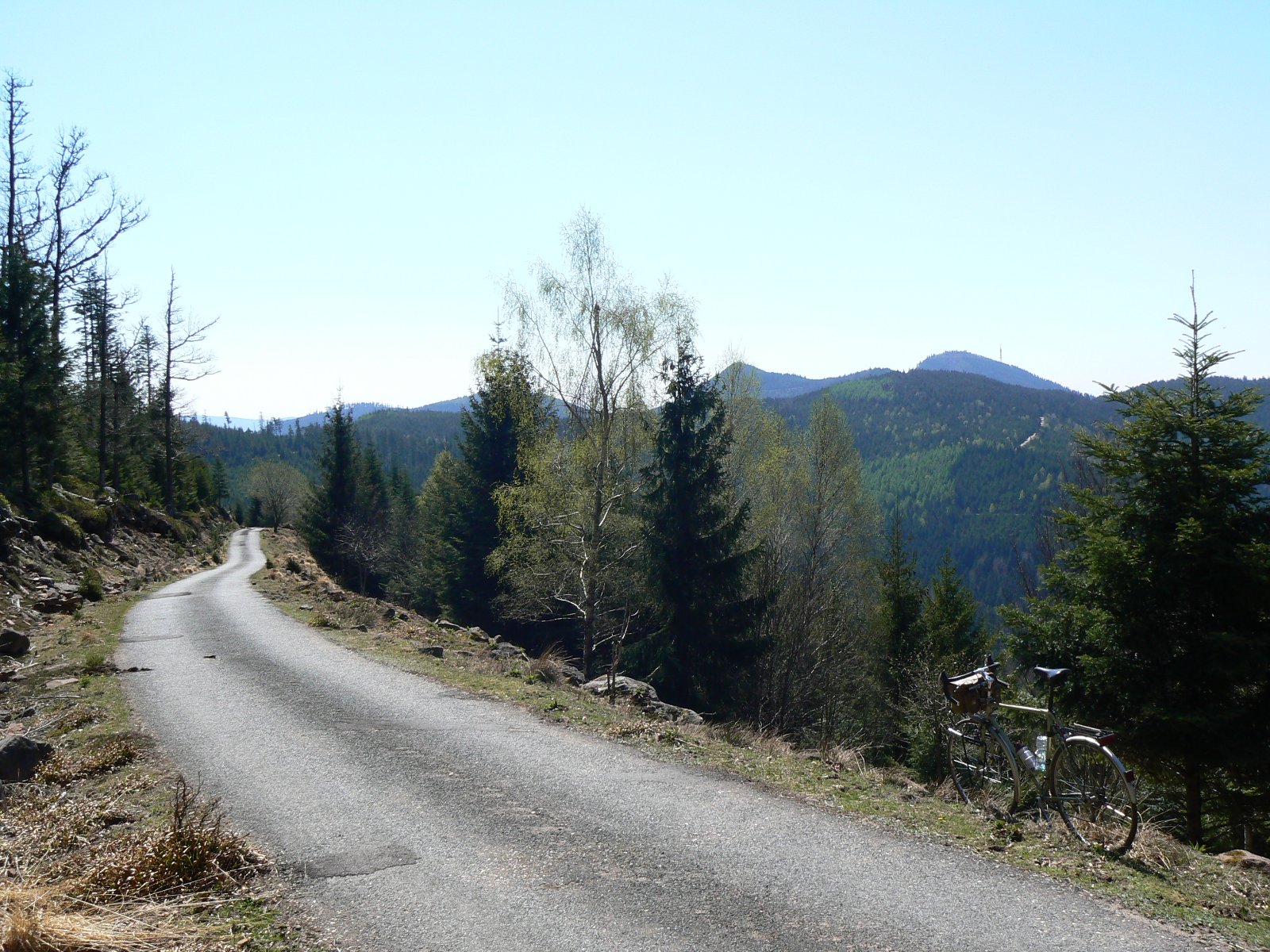 P1180650.JPG