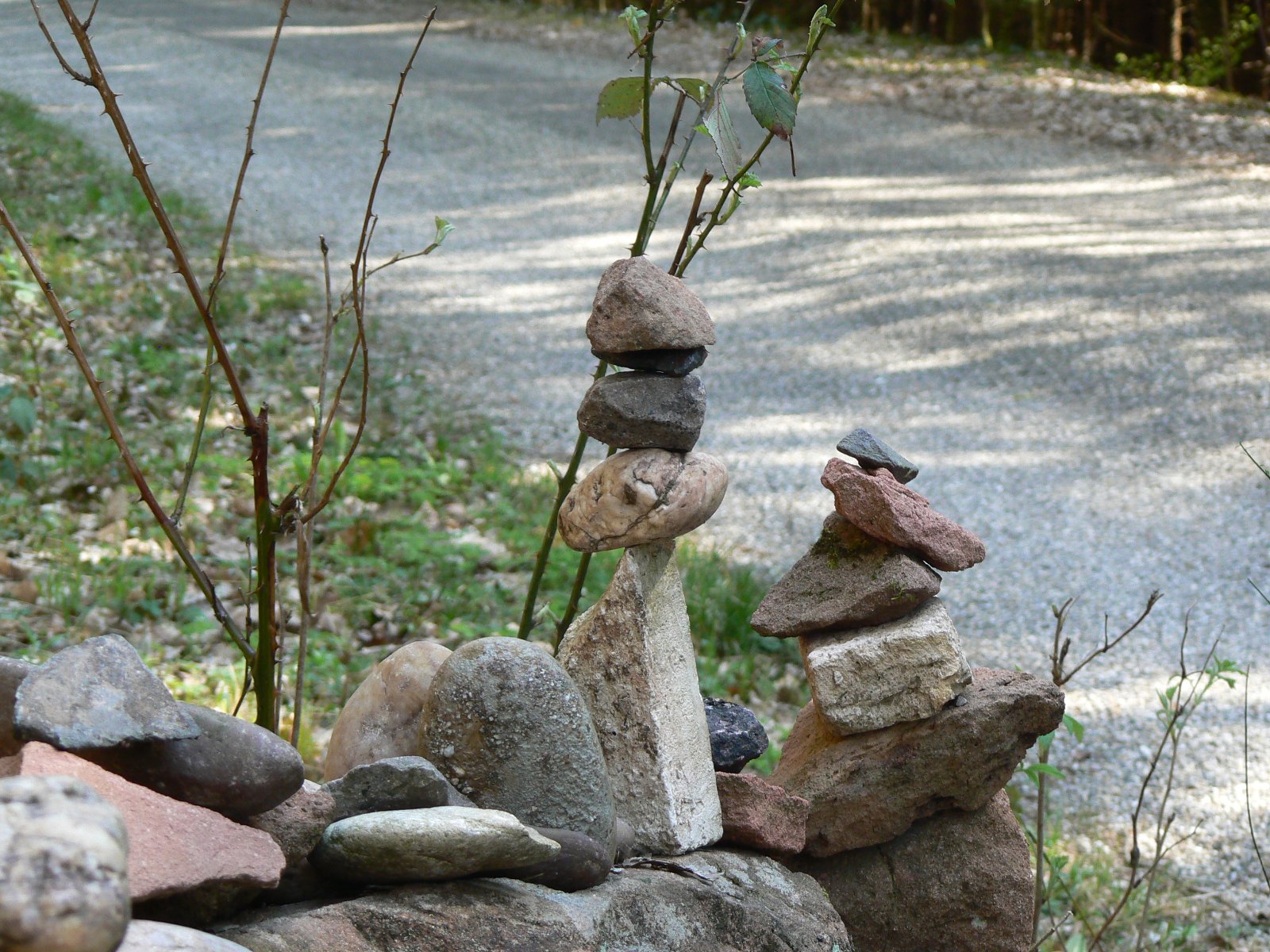 P1180738.JPG