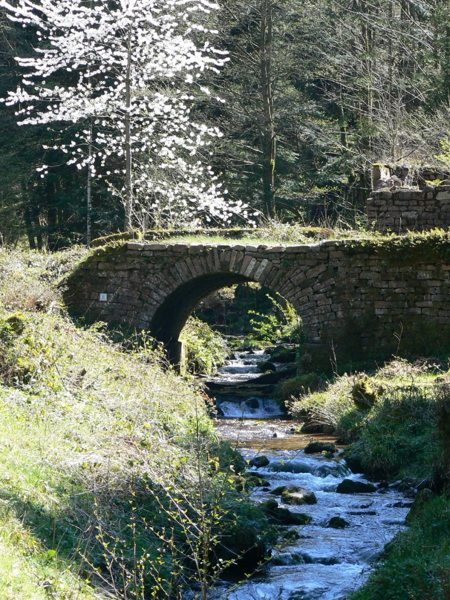 Anciens moulins sur la Sarre Blanche