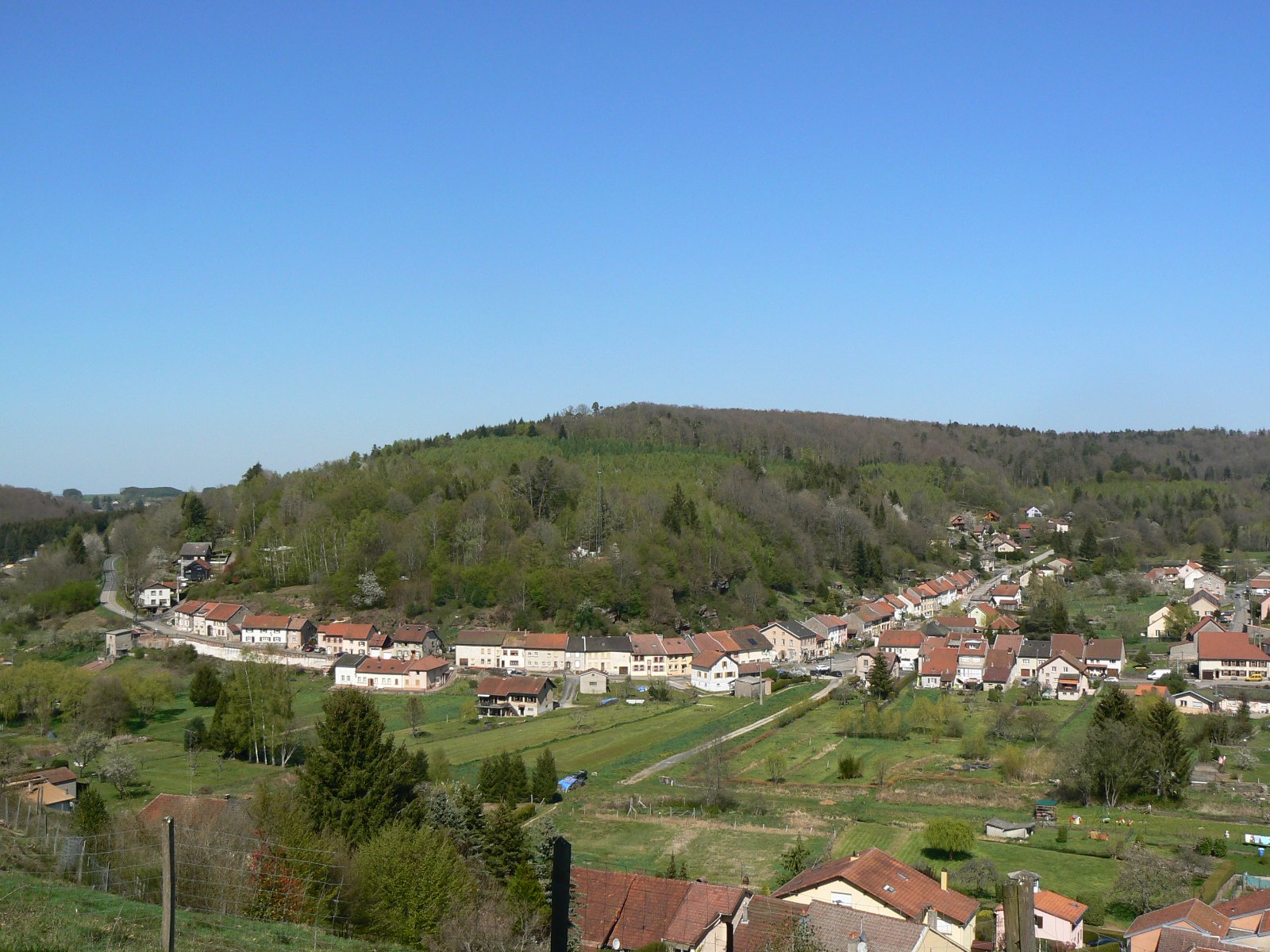 P1180748.JPG