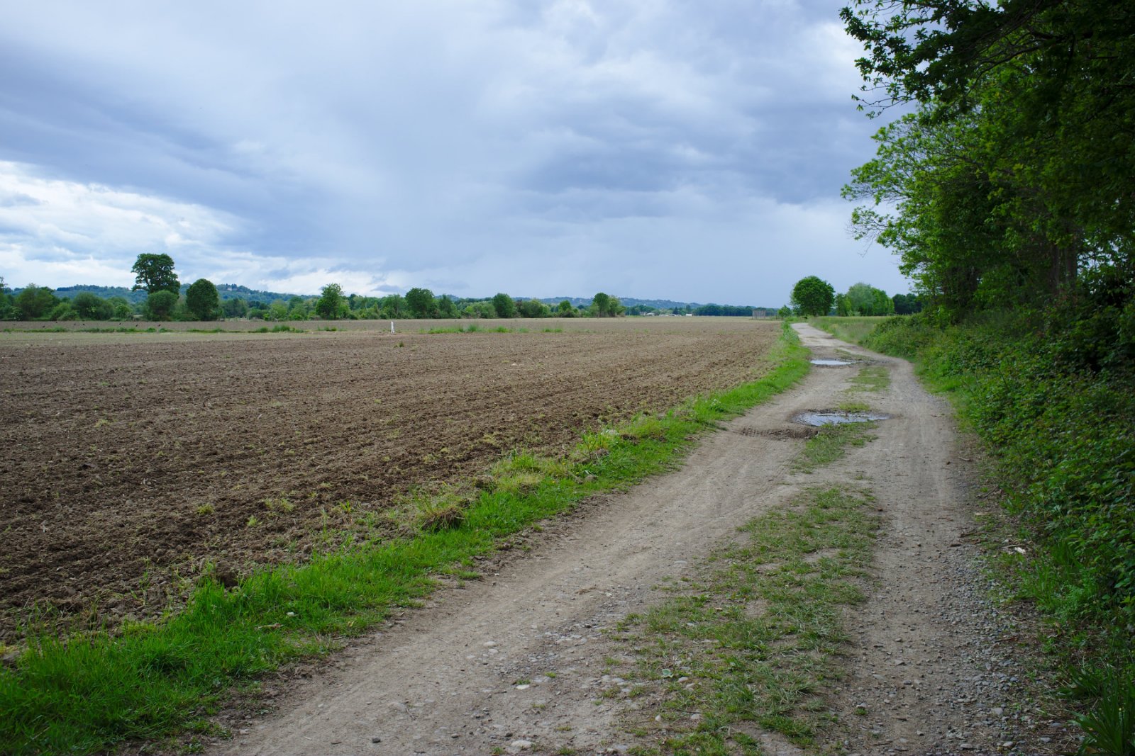 2019_05 part 2 (028).jpg