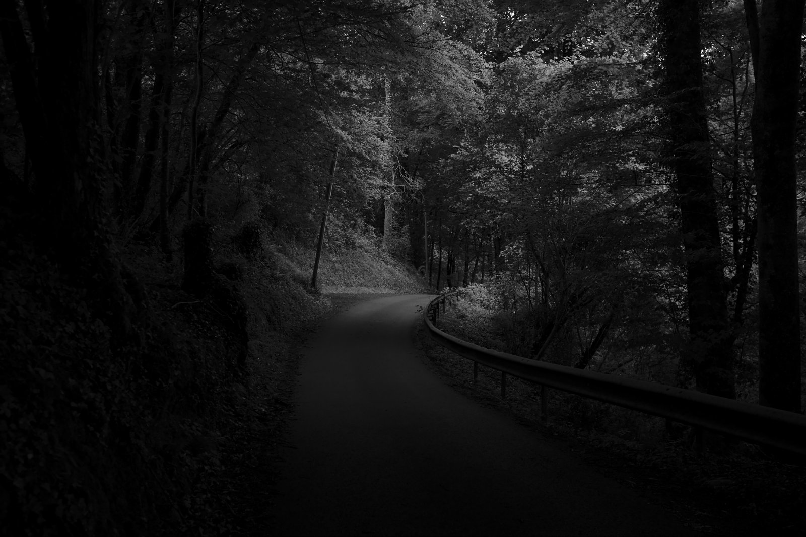 2019_05 part 3 (017).jpg