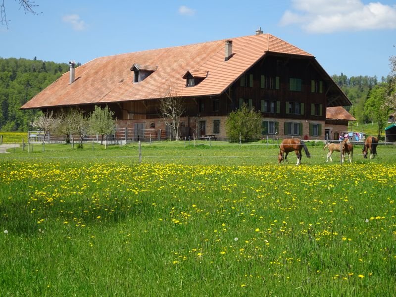 Ferme à Bellelay