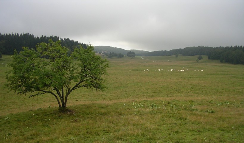 Plateau de Retord