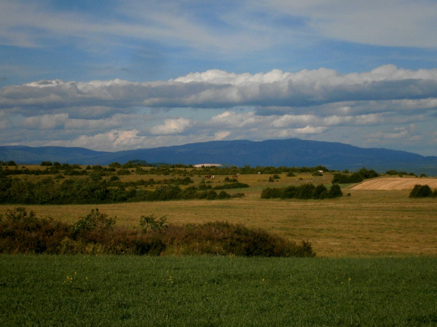 Le massif de l'Aigoual vu du point routier culminant du Larzac.