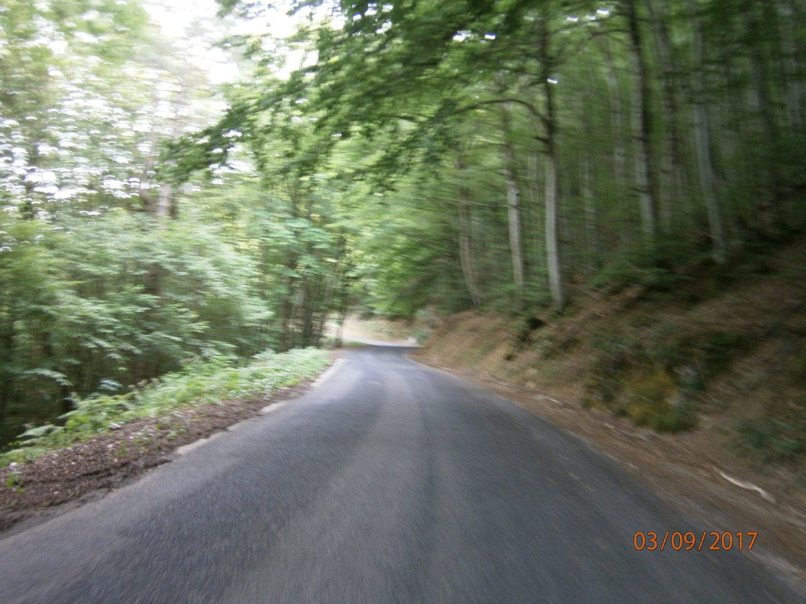 Une route très ombragée et bien agréable l'après midi.